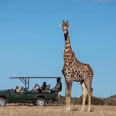 Safari Plains Villa Mabula Game Reserve Exterior photo