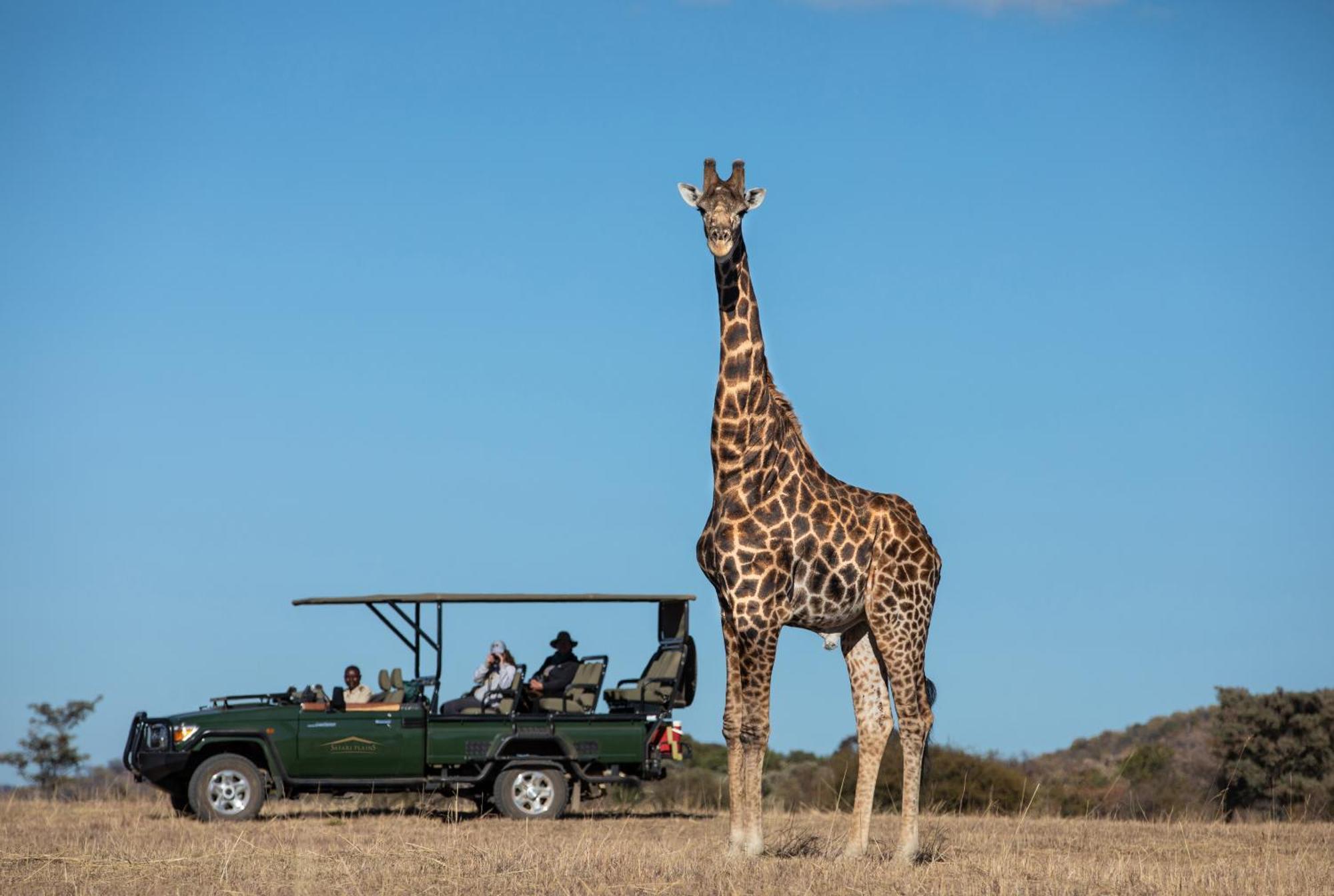 Safari Plains Villa Mabula Game Reserve Exterior photo