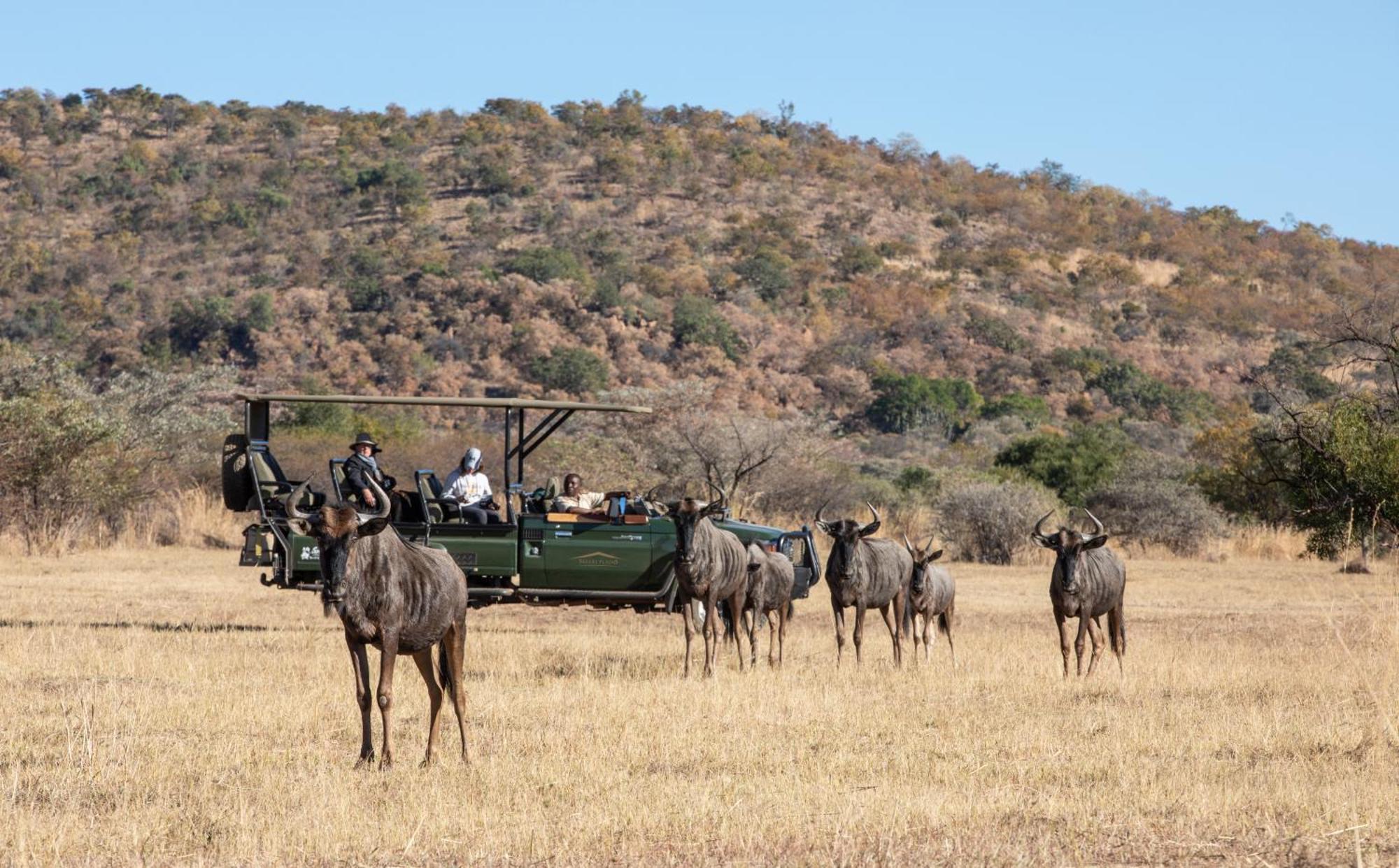Safari Plains Villa Mabula Game Reserve Exterior photo